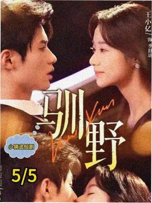 七七视频 北坡旧书集 点位置景